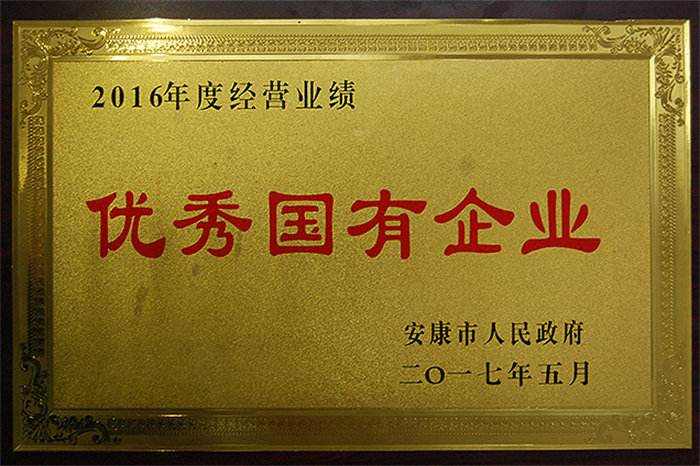 2016年度经营业绩优秀国有企业