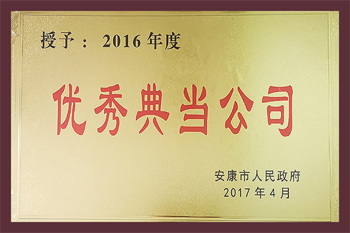 2016年度优秀典当公司