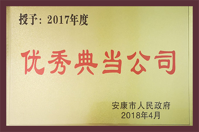 2017年度优秀典当公司