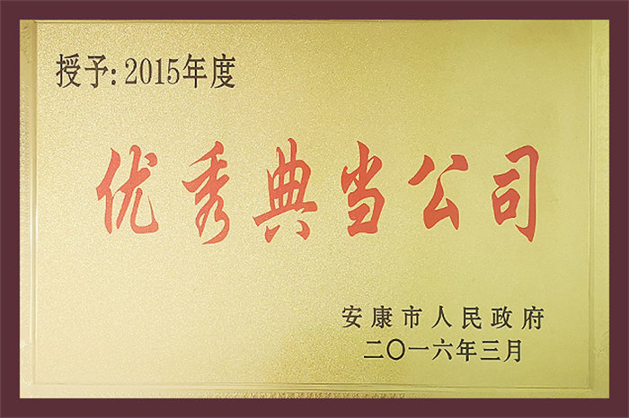 2015年度优秀典当公司