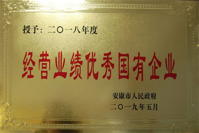 2018年度经营业绩优秀国有企业