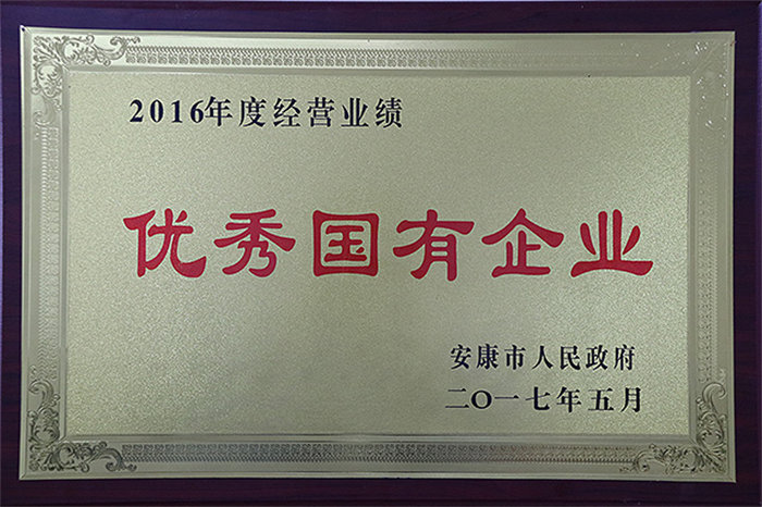 2016年度经营业绩优秀国有企业