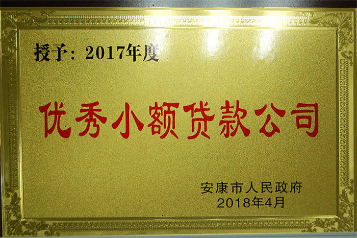 2017年度优秀小额贷款公司