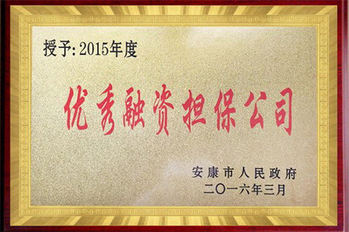 2015年度优秀融资担保公司
