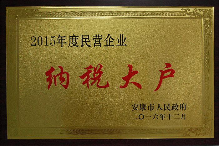 2015年度民营企业纳税大户