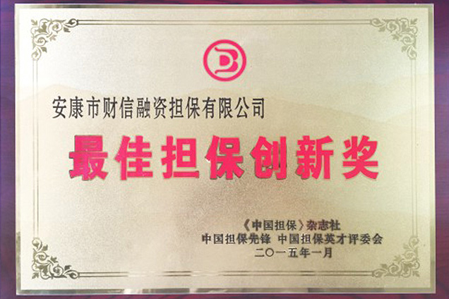 最佳担保创新奖