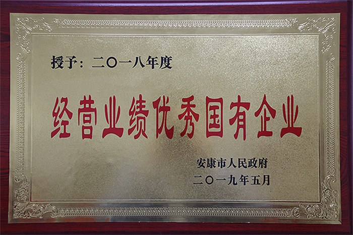 2018年度经营业绩优秀国有企业