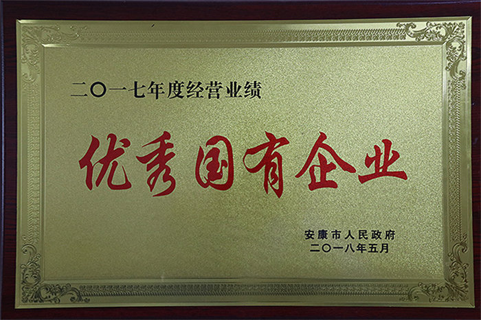 2017年度经营业绩优秀国有企业