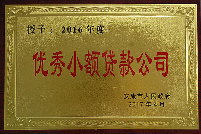 2016年度优秀小额贷款公司
