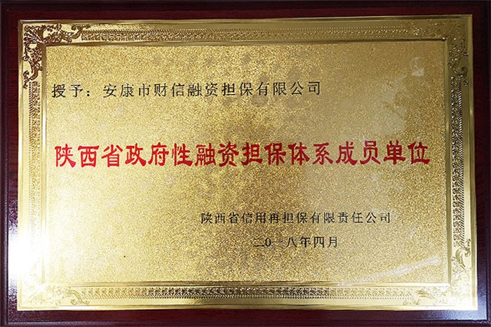 2017年度优秀融资担保公司