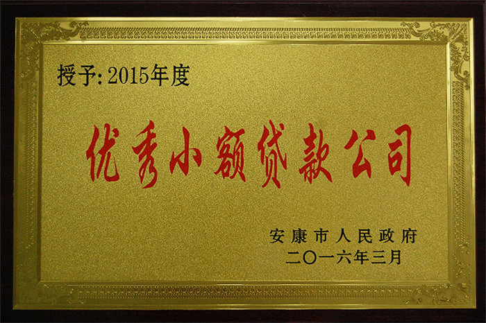 2015年度优秀小额贷款公司