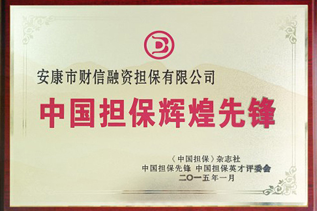 中国担保辉煌先锋