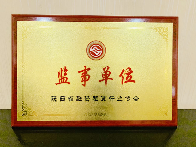 陕西省融资租赁行业协会第一届监事单位