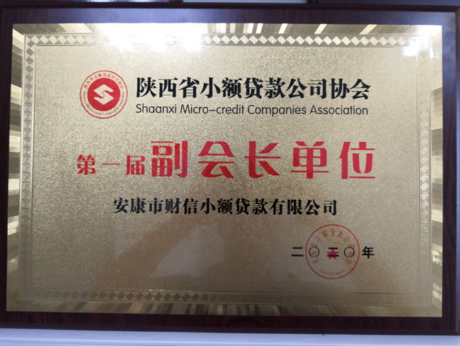 陕西省小额贷款公司协会第一届副会长单位