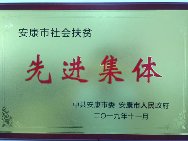 安康市社会扶贫先进集体