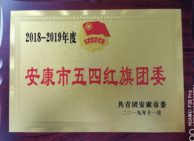 2018-2019年度安康市五四红旗团委