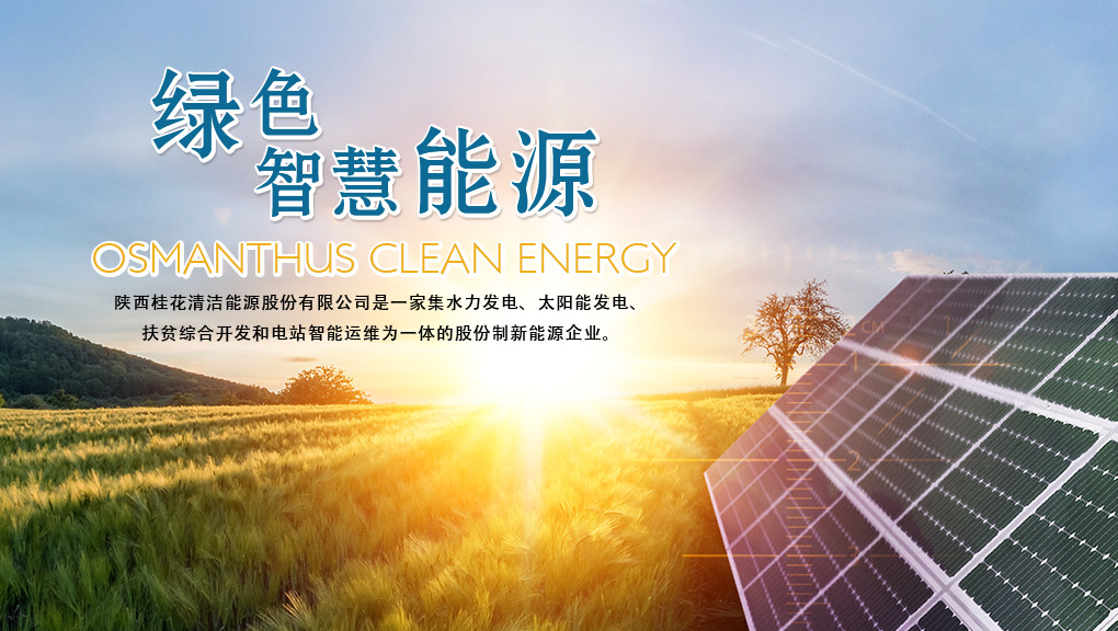 周汉林接受桂花股份境外上市辅导机构海通国际视频访谈