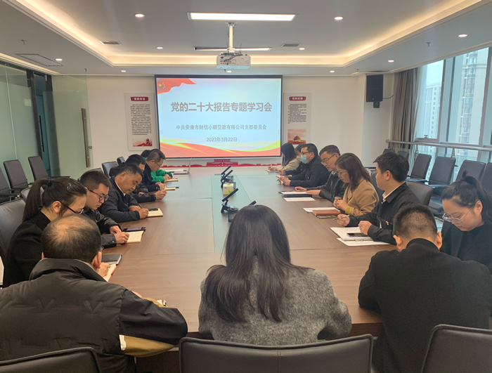 财信小贷公司党支部召开党的二十大报告专题学习会