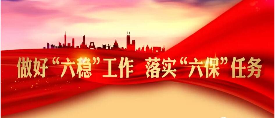 周汉林:在服务安康“六稳六保”大局中展现担当作为