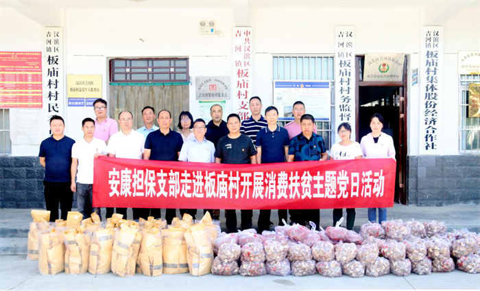 财信担保公司到吉河镇板庙村开展消费扶贫主题党日活动