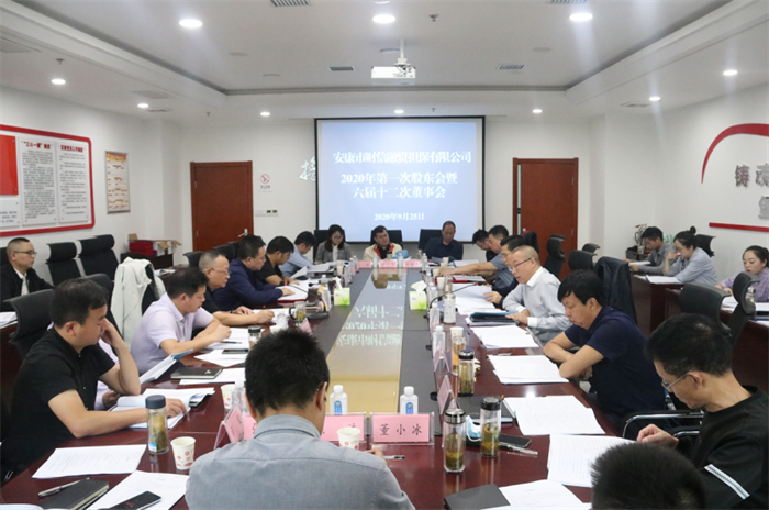 财信担保公司2020年第一次股东会暨六届十二次董事会