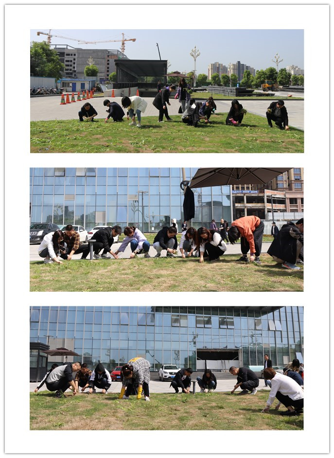 足球竞彩网
“五一”劳动节前组织开展义务劳动