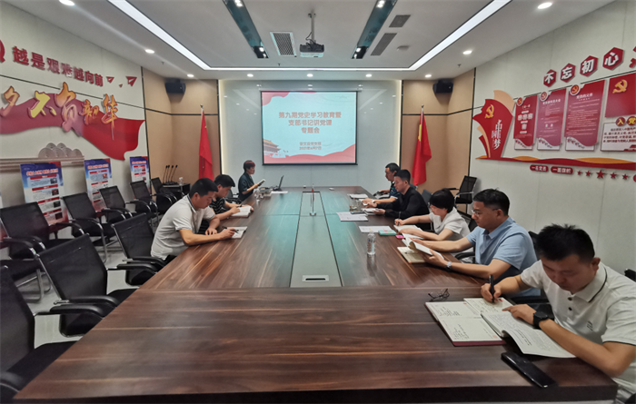 安文投公司党支部开展第九期党史学习教育暨支部书记讲党课