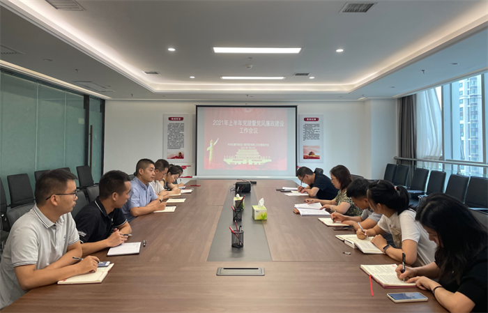 财信小贷公司党支部召开2021年上半年党建暨党风廉政建设工作会议