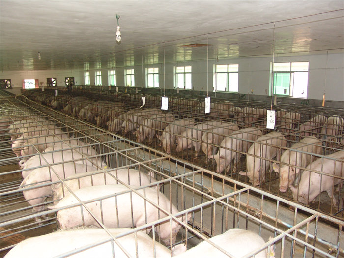 8.足球竞彩网
支持阳晨牧业集团加快发展.JPG